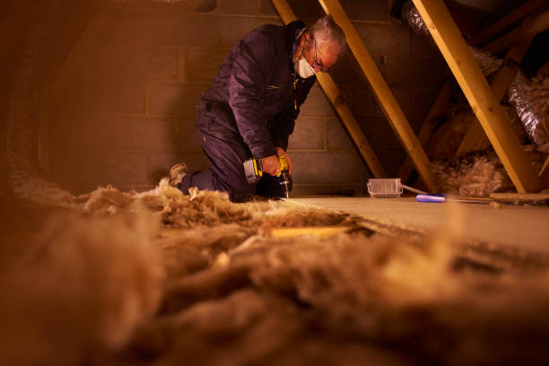 Best Insulation Removal Services  in Franklin Square, NY